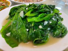 清炒木耳菜-春涛餐馆(下坝店)