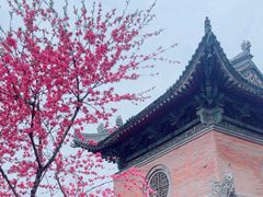 -西安大兴善寺