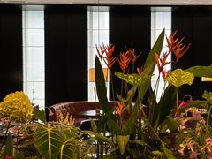 -广州文华东方酒店·悦铂尼西餐厅