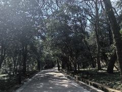 -灵谷景区