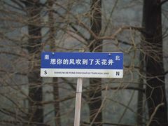 -天花井景区