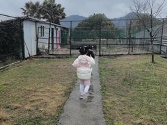 -宁波九龙湖开元度假村