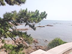 -青岛第二海水浴场