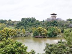 -张坝桂圆林公园
