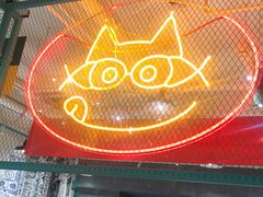 -喜欢吃鱼(非遗博览园总店)