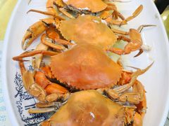 -台山美食一绝阿四台山黄鳝饭(阿四创作店)