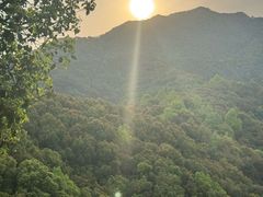 -龙坞茶村