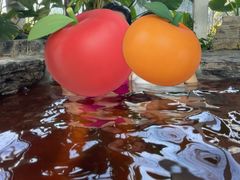 -中家鑫园温泉酒店鑫悦汤泉