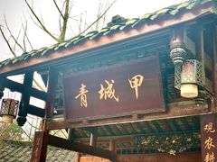 门面-青城甲(青城山店)