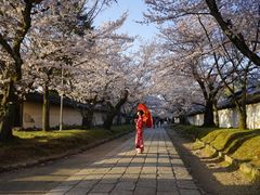 -醍醐寺