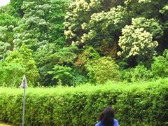 -火炉山森林公园