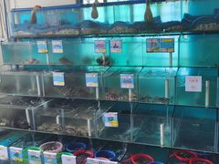 水产区-琼大师东方烤乳猪(亚特兰蒂斯店)