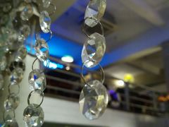 -猫咪博物馆(顶澳仔猫街店)