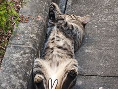 -深圳市人才园(深南大道店)