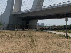 -永定河休闲森林公园