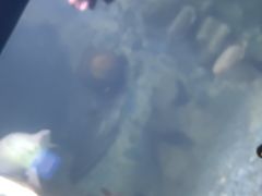 -厦门海底世界