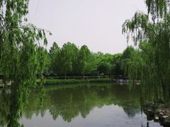 -大兴滨河森林公园