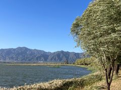 -野鸭湖国家湿地公园