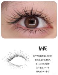 -丽尔美睫