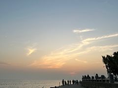 -深圳湾公园(南山区)
