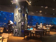 -海棠湾洲际-涛·海底餐厅·美人鱼·自助餐·海底隧道