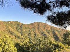 -北京十三陵国家森林公园蟒山景区