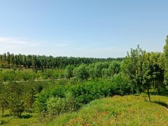 -东郊湿地公园
