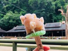 -野象谷景区