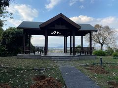 -福建鲤鱼洲酒店