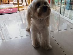 -子乐宠物医院