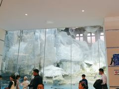 -帝企鹅自助餐厅•儿童岛•真企鹅(长隆企鹅酒店)