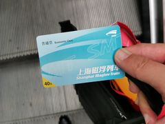 -龙阳路磁悬浮列车总站-停车场