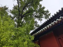 -北京鹫峰国家森林公园
