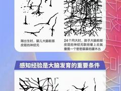 -龙格亲子游泳·水育早教运动中心(上虞钱江中心)