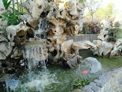 -呼吸森林·生态农庄农家乐私房菜