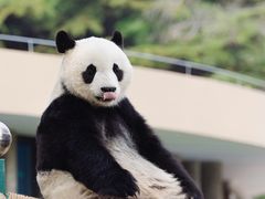 -天津市动物园