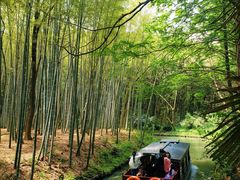 -同里国家湿地公园