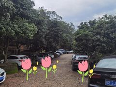 -满記土窑烧鷄波浪山莊