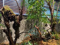 -森SPA·泰式按摩·精油Massage(宝安中心店)