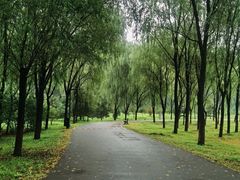 -东郊湿地公园