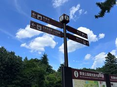 -奈良公园