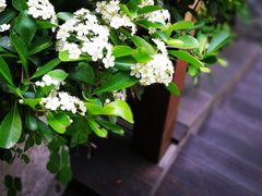 -楠柏弯休闲山庄(梨花溪店)