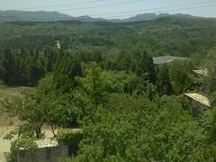 -原山国家森林公园