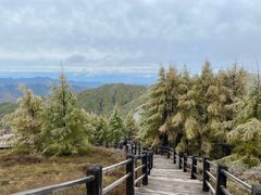 -苏木山森林公园