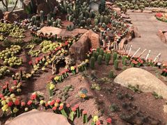 -南通洲际绿博园