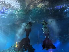 -海棠湾洲际-涛·海底餐厅·美人鱼·自助餐·海底隧道