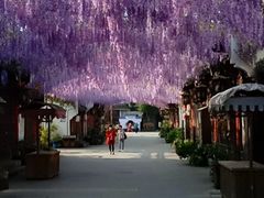 -婺源梦里老家大型山水实景演出