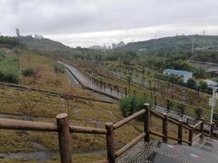 -李宁体育园