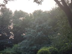 -北极寺公园