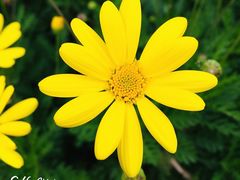 -苏州河梦清园环保主题公园